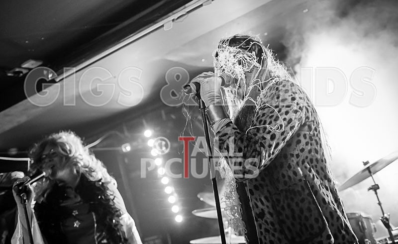 Spangles-161 - SPANGLES