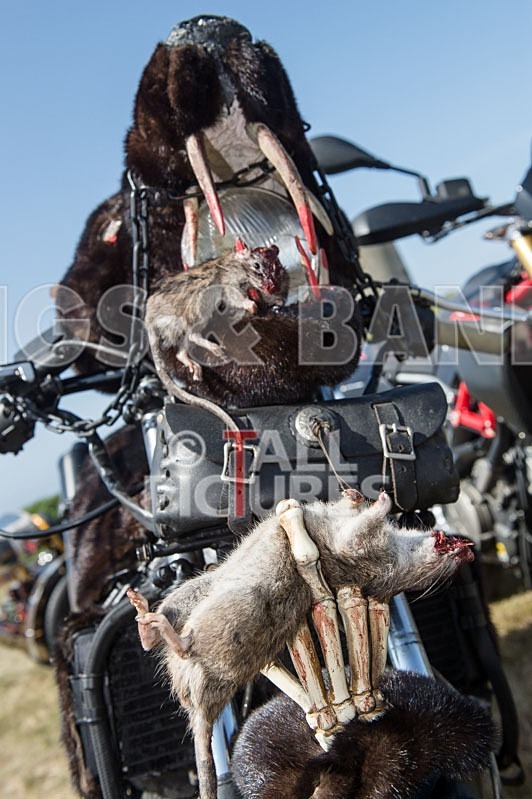 Chaos 2013_The Atmosphere-5 - CHAOS 2013... THE ATMOSPHERE