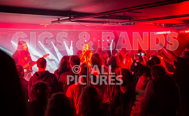 Stone Em All-194 - STONE EM ALL