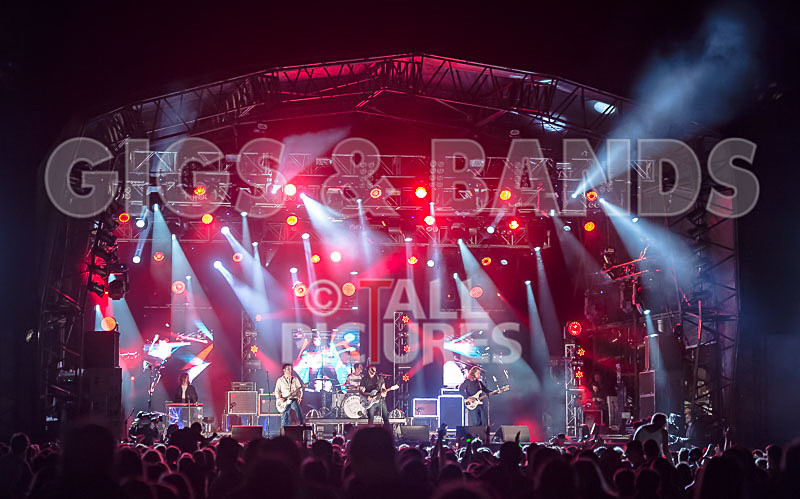 The Vaccines-28 - THE VACCINES