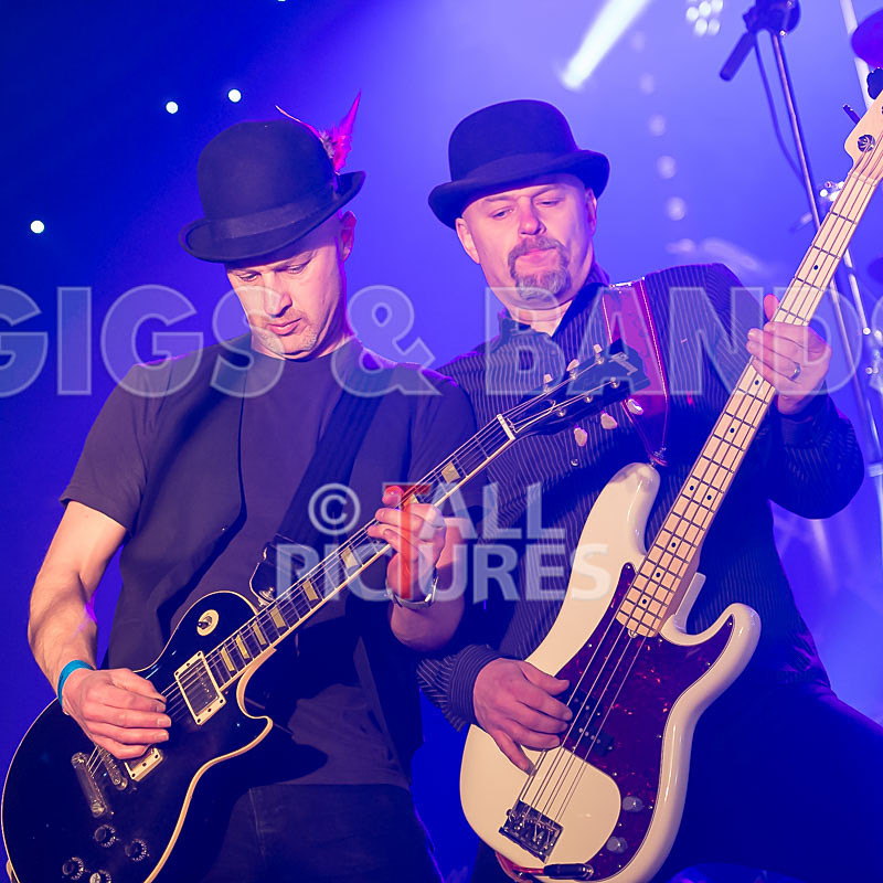 Peppered Ant Legs-169 - PEPPERED ANT LEGS