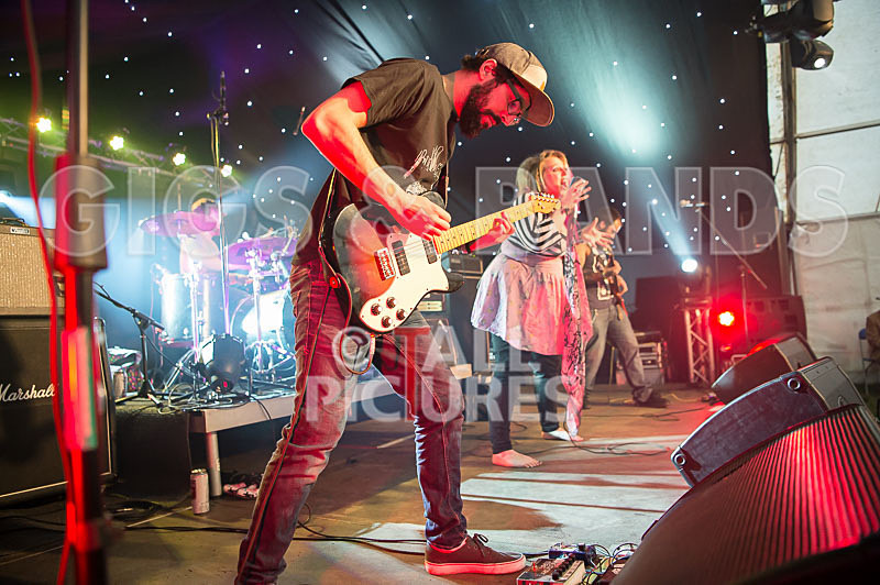 Static Alice-403 - STATIC ALICE