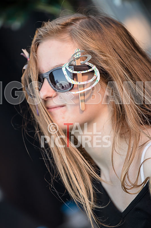 Vale Earth Fair 2017_SCENE-123 - VALE EARTH FAIR 2017_THE SCENE