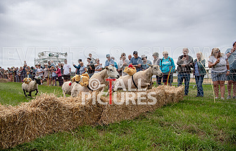 Guernsey Agricultural Show 2021-318 - GUERNSEY AGRICULTURAL SHOW 2021