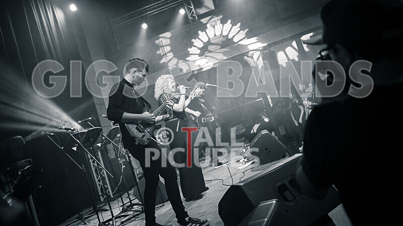 Jo Marsh-4 - THE GUESTS