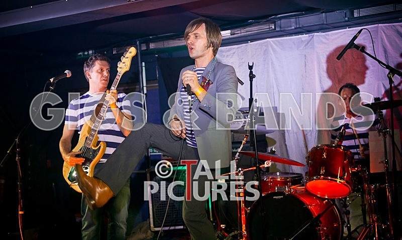 The Cryptics-27 - THE CRYPTICS