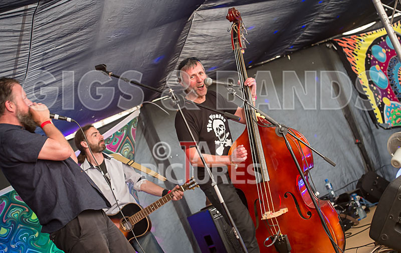The Peace Tent_2015-18 - CHAOS PEACE TENT 2015