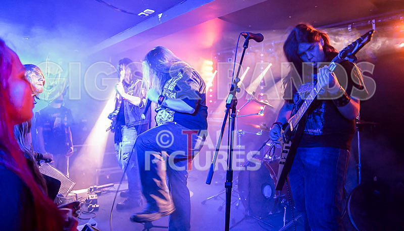 Stone Em All-182 - STONE EM ALL