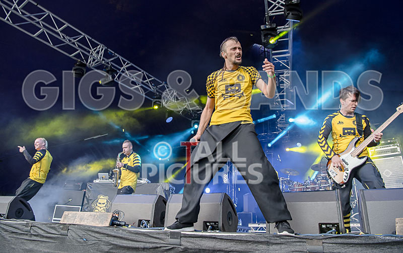 Dubioza Kolektiv-38 - DUBIOZA KOLEKTIV