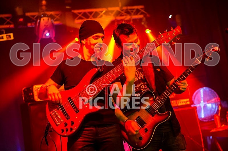 Gallus Cooper-15 - GALLUS COOPER