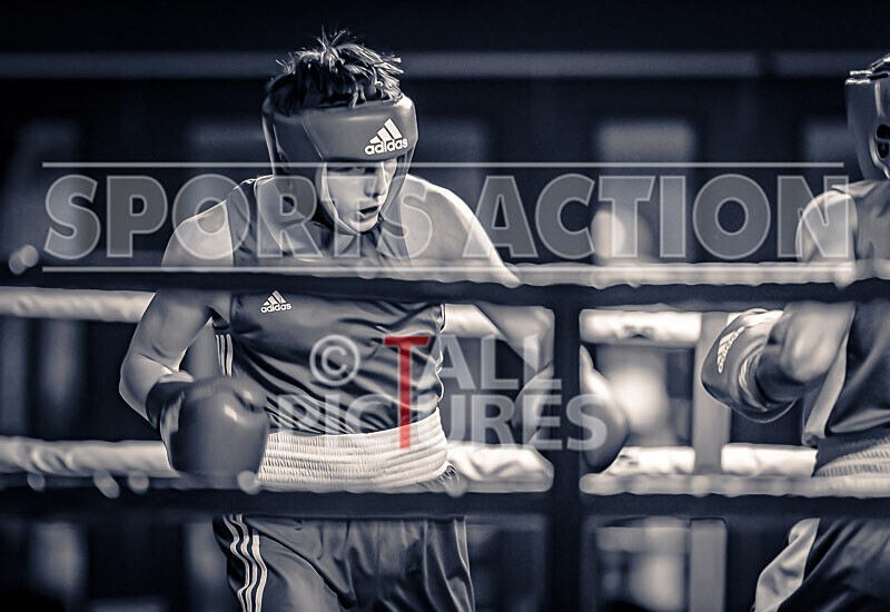 BOUT 3_Luc Langlois v Jaspe Kibiedi-16 - BOUT 3_Luc Langlois v Jaspe Kibiedi