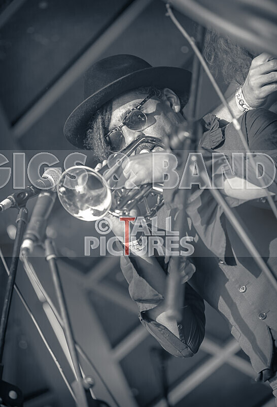 The Pips-131 - THE PIPS