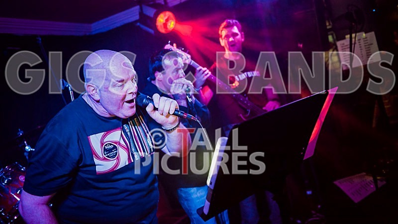 Hevvy Bevvy Blues Band-1 - HEVVY BEVVY BLUES BAND