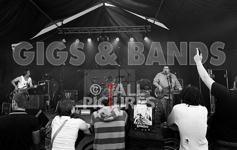 Toupe-9 - TOUPE at IVY CASTLE FAIR