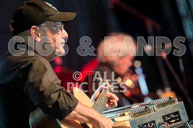 Albert Lee-40 - ALBERT LEE