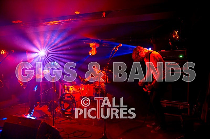 Teaspoonriverneck-216 - TEASPOONRIVERNECK