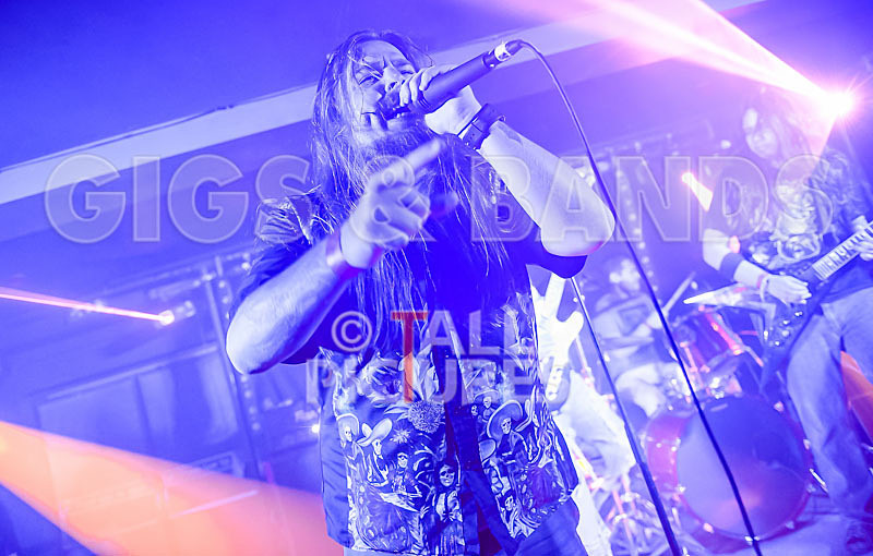 Stone Em All-241 - STONE EM ALL