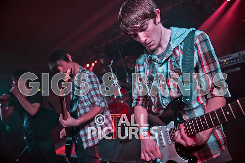 Feedback-76 - FEEDBACK at RoA-8