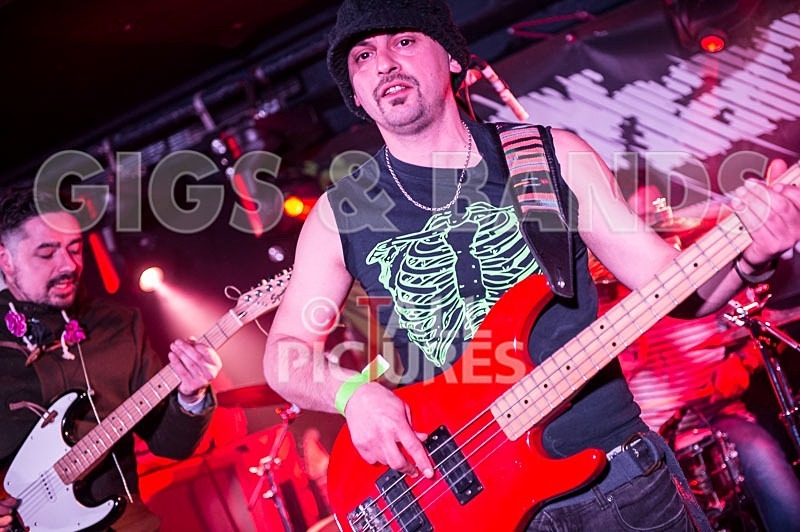 Harlequin Knights-7 - HARLEQUIN KNIGHTS