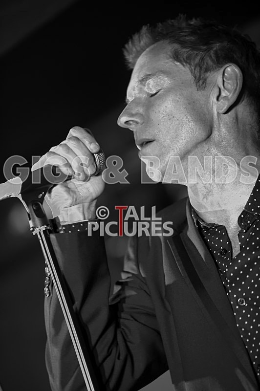 Dr Feelgood-15 - DR FEELGOOD