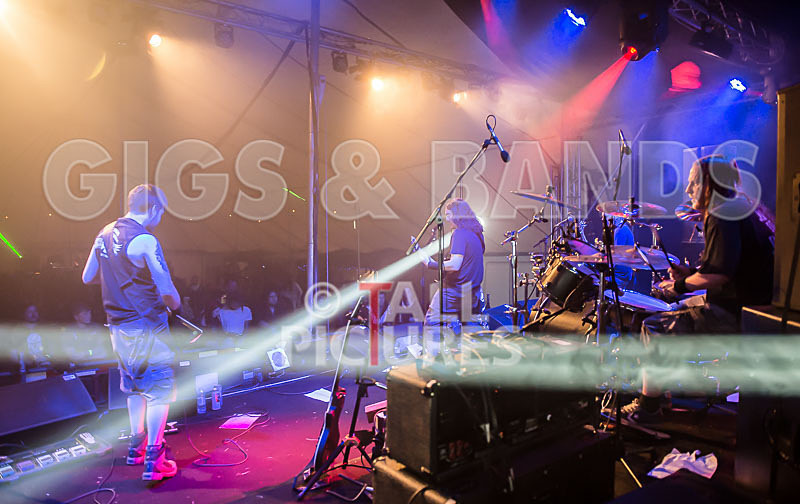 Demise of Sanity-52 - DEMISE OF SANITY