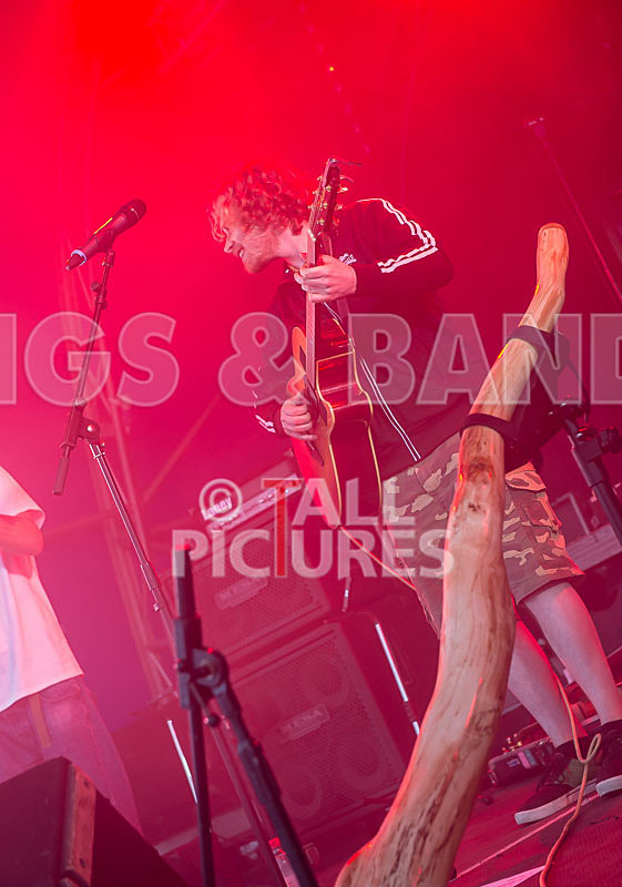 Buffalo Huddleston-206 - BUFFALO HUDDLESTON