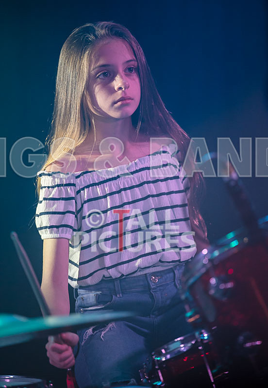 Avacado Geff-19 - AVACADO GEFF