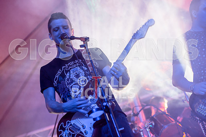 Subversion-26 - SUBVERSION