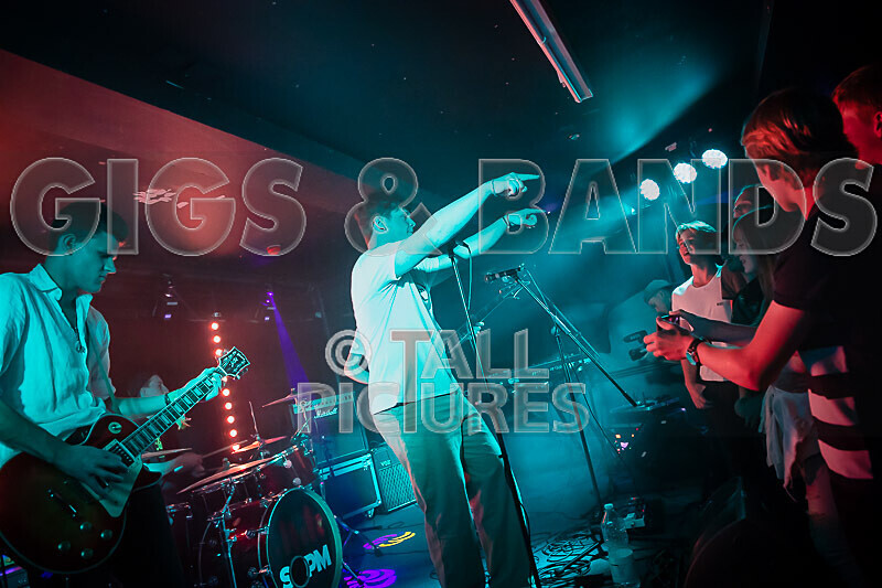 Black Dog-12 - BLACK DOG