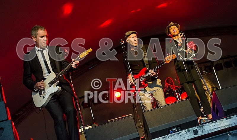 The Selecter-7 - THE SELECTER