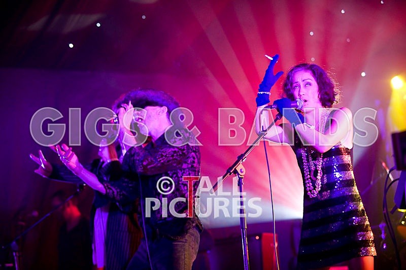 Vale-Earth-73 - VALE EARTH FAIR 2008