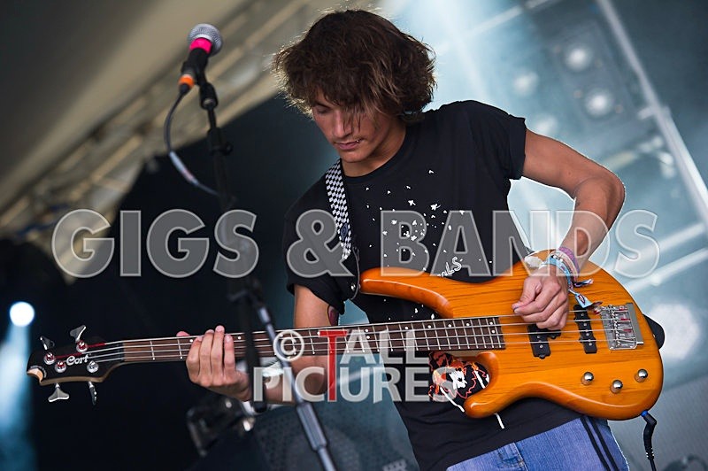 Pirate Video Company-6 - PIRATE VIDEO COMPANY