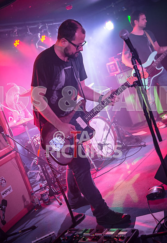 Gay Army-360 - GAY ARMY