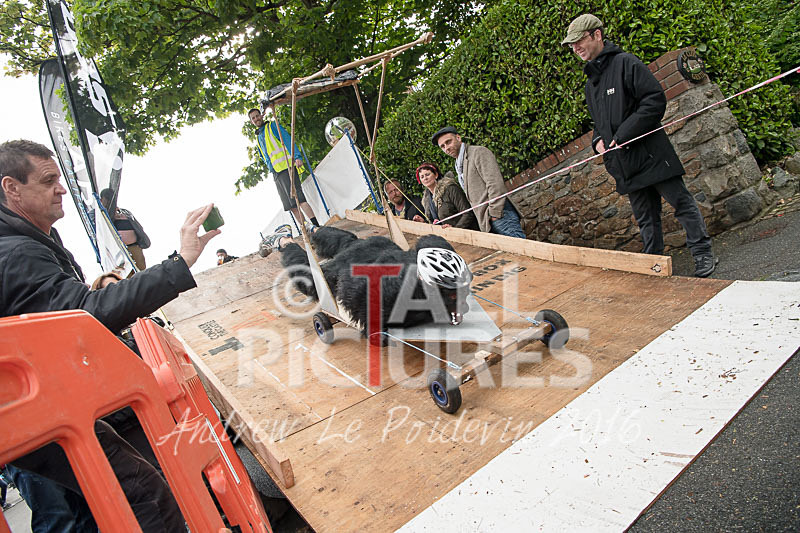 Lib Day_Soapbox Racing-45 - SOAPBOX RACING IN ST ANDREWS