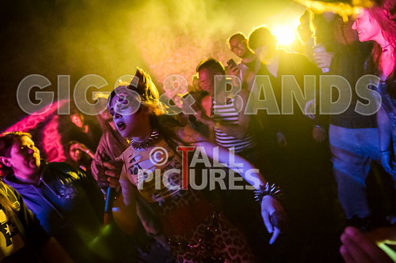 Pussycat and the Dirty Johnsons-6 - PUSSYCAT AND THE DIRTY JOHNSONS