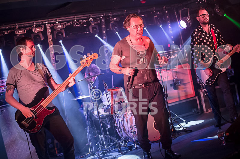 Gay Army-214 - GAY ARMY