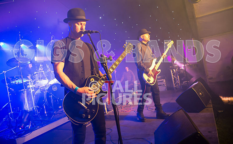 Peppered Ant Legs-206 - PEPPERED ANT LEGS