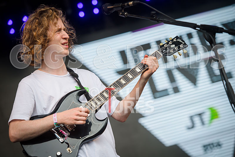 Spring King-12 - SPRING KING