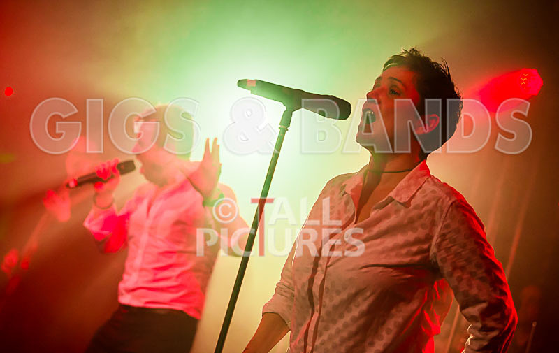 King Rat the Soul Cats-326 - KING RAT AND THE SOUL CATS