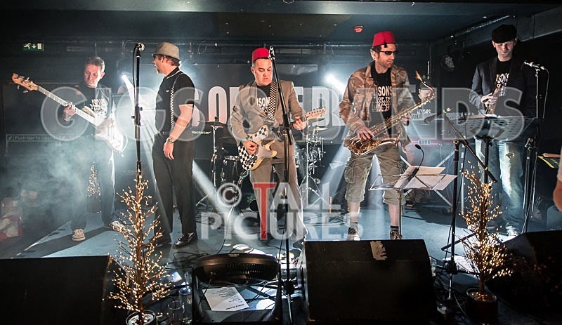 Sons of the Desert-144 - SONS OF THE DESERT