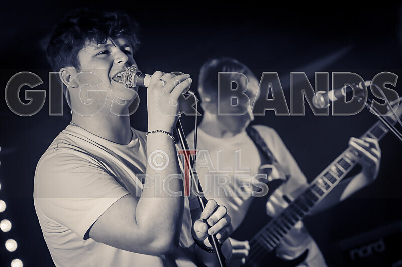 Black Dog-17 - BLACK DOG