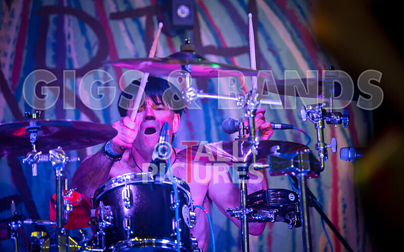 The Electric Shakes-188 - THE ELECTRIC SHAKES