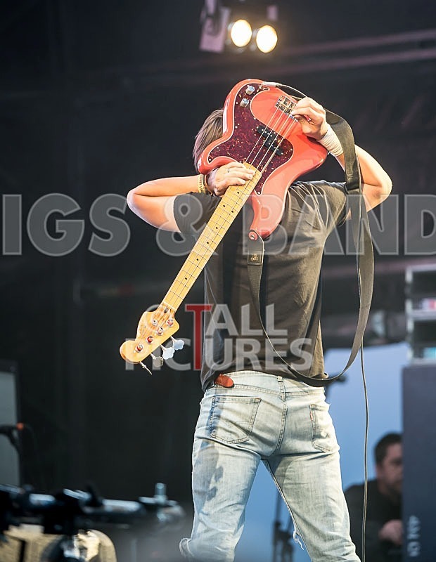 The Cribs-3 - THE CRIBS