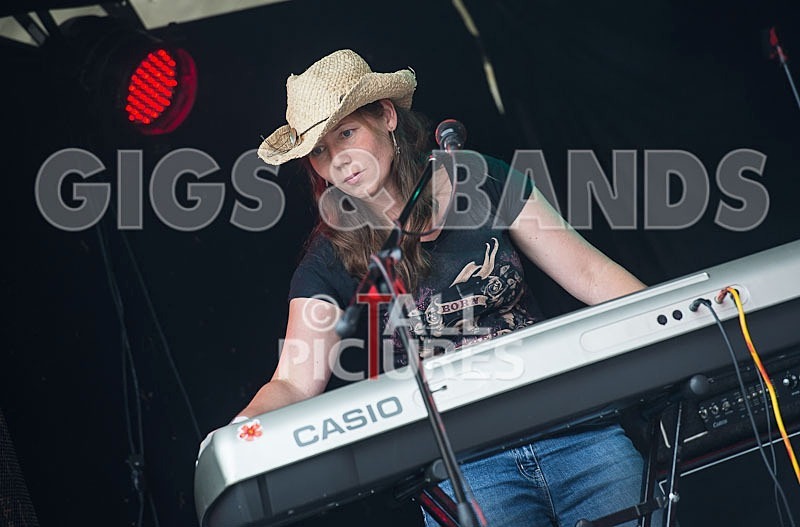 Wild Card-120 - WILD CARD