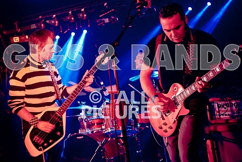 The Risk-193 - THE RISK