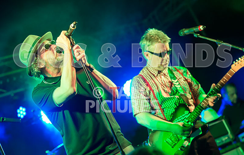 Sons of the Desert-238 - SONS OF THE DESERT