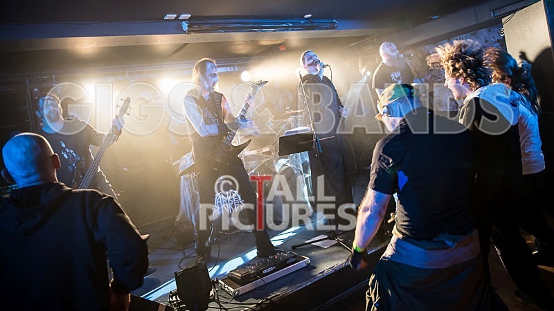 Darker Shores-7 - DARKER SHORES