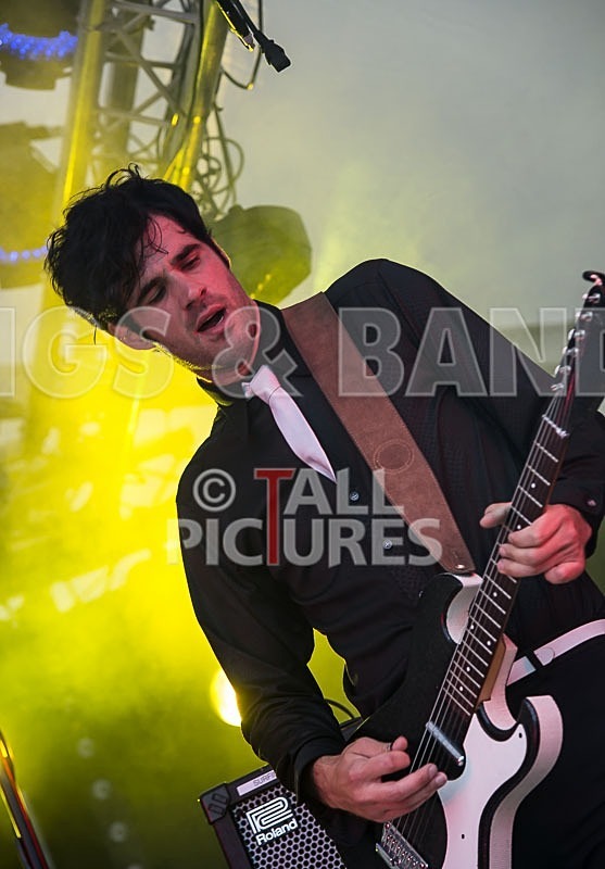 Surfin Birds-3 - THE SURFIN' BIRDS