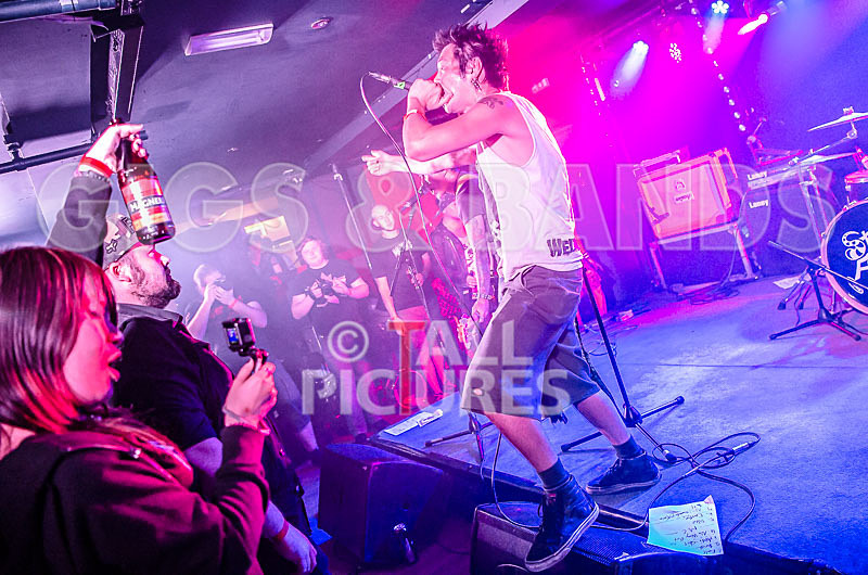 Morllyheads-52 - MORLLYHEADS