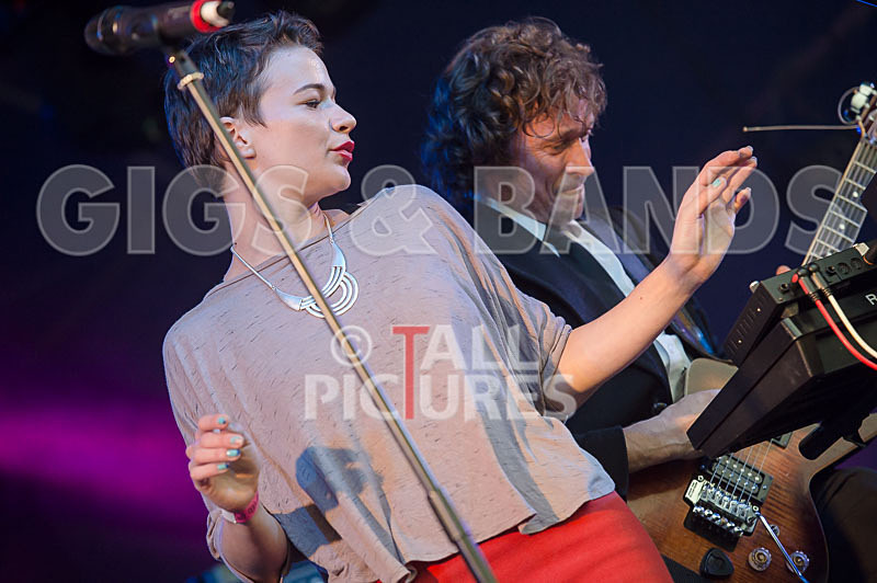 Vienna Ditto-20 - VIENNA DITTO